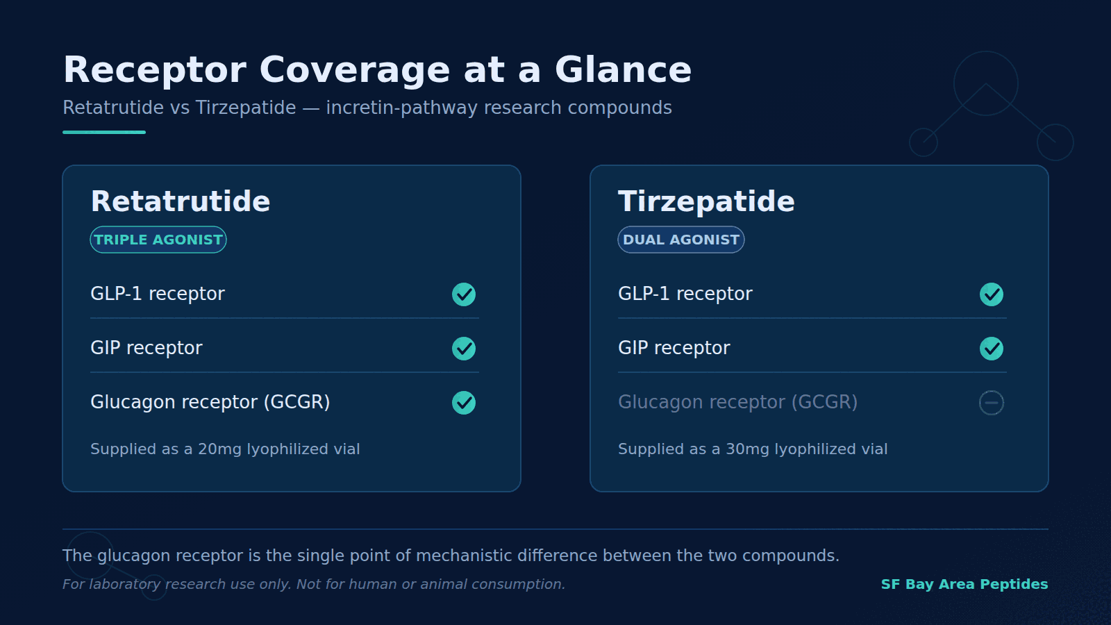 Receptor coverage comparison: retatrutide is a triple agonist targeting the GLP-1, GIP and glucagon receptors; tirzepatide is a dual agonist targeting GLP-1 and GIP only