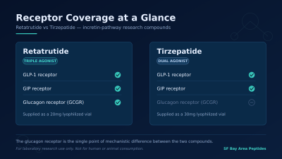 Retatrutide vs tirzepatide receptor coverage — retatrutide is a triple agonist at GLP-1, GIP and glucagon receptors; tirzepatide is a dual agonist at GLP-1 and GIP